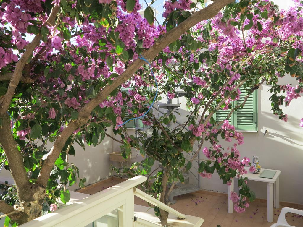 Casamare Hotel سان فينتْشينسو الغرفة الصورة